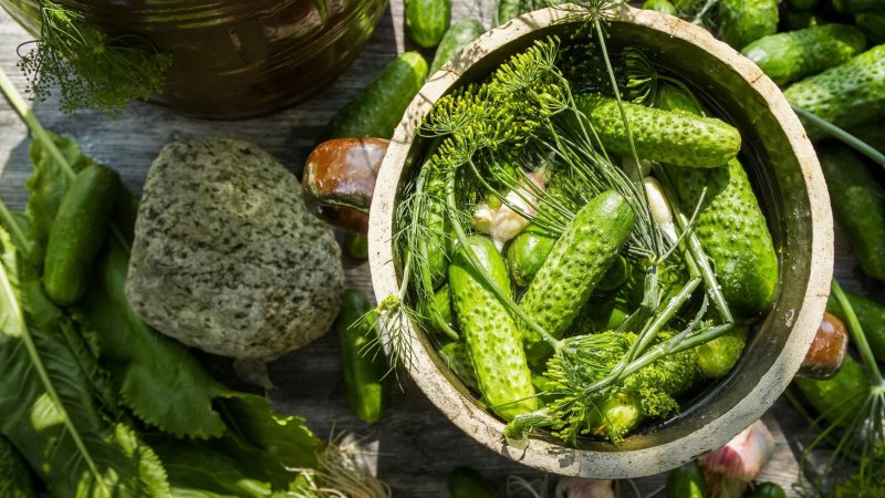 Features of pickling cucumbers for the winter in a barrel: recipes for cold pickling