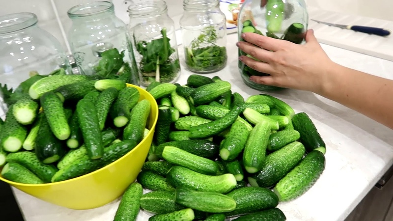 Features of pickling cucumbers with citric acid: recipes for 1 and 3 liter jars