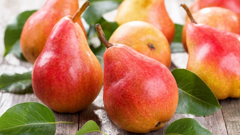 A selection of the best varieties of the most delicious winter-hardy pears for Siberia