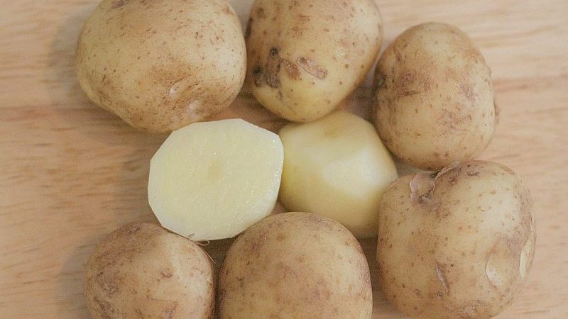 Detailed description and advice of agronomists on potato varieties: Petersburg, Barin, Leader and others
