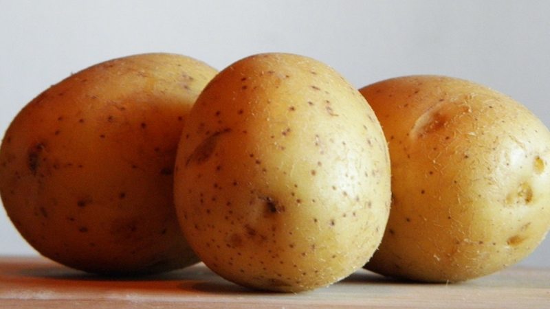 Detailed description and advice of agronomists on potato varieties: Petersburg, Barin, Leader and others