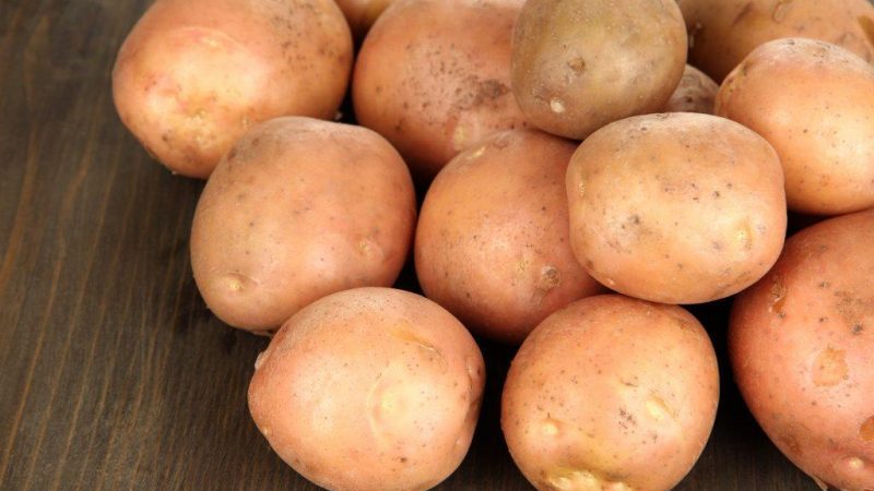 Detailed description and advice of agronomists on potato varieties: Petersburg, Barin, Leader and others