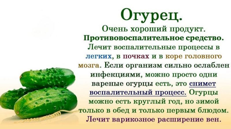 The benefits and harms of cucumbers for human health