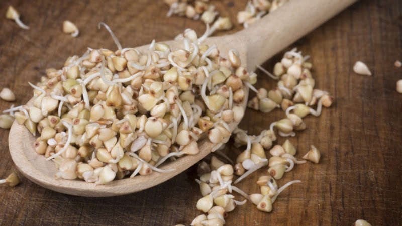 The benefits and harms of green sprouted buckwheat