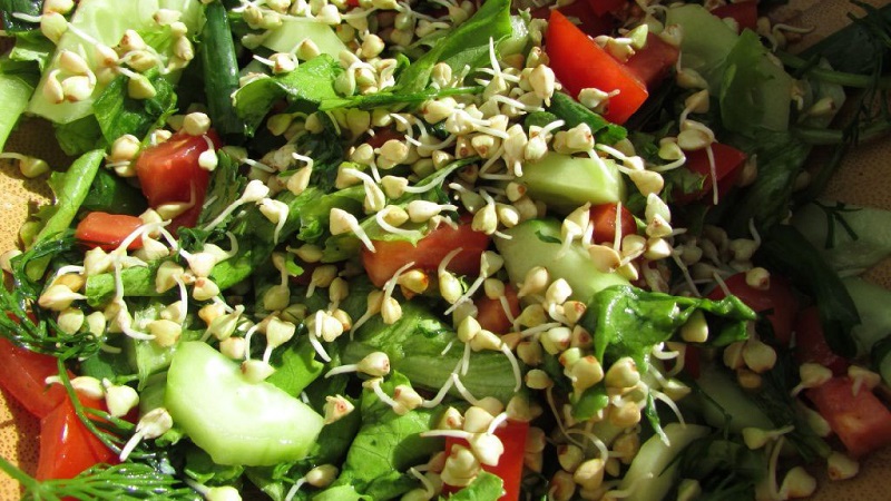 The benefits and harms of green sprouted buckwheat