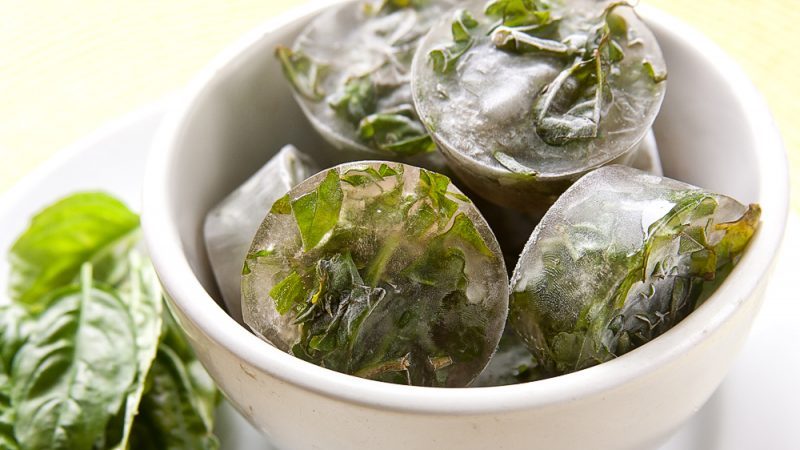How to properly freeze basil for the winter: a selection of the best ways