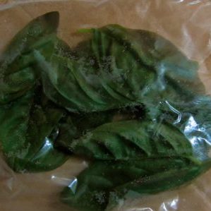 How to properly freeze basil for the winter: a selection of the best ways