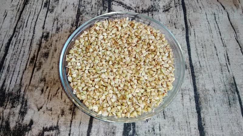 How to germinate green buckwheat correctly at home