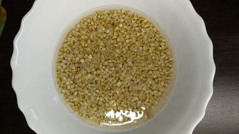 How to germinate green buckwheat correctly at home