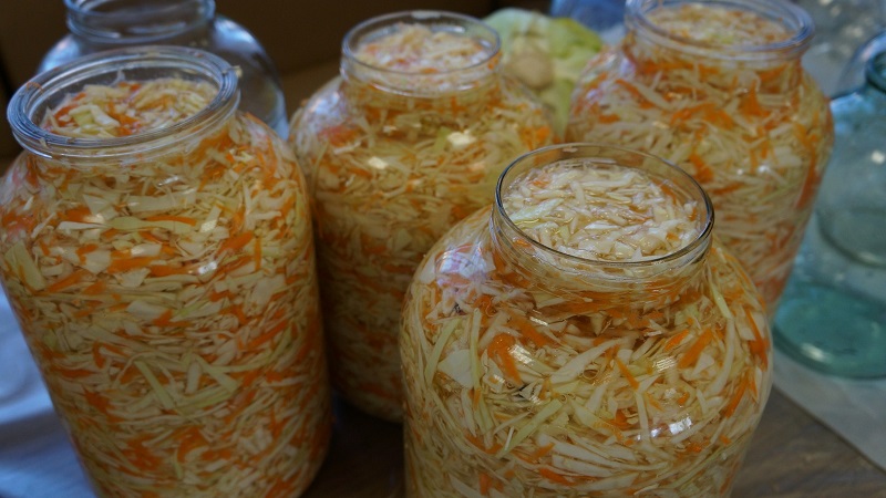 Simple and delicious recipes for salting cabbage in brine with salt and sugar