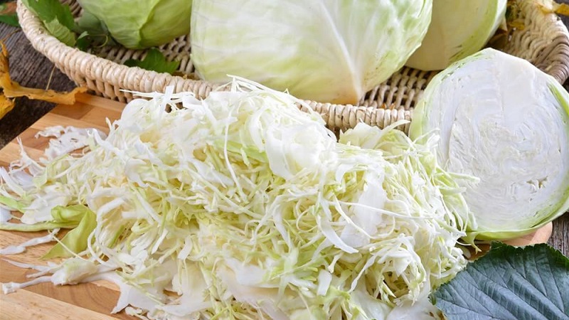 Simple and delicious recipes for salting cabbage in brine with salt and sugar