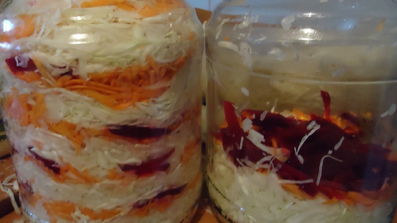 Simple and delicious recipes for salting cabbage in brine with salt and sugar