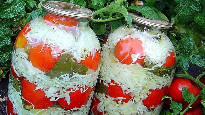 Simple and delicious recipes for salting cabbage in brine with salt and sugar