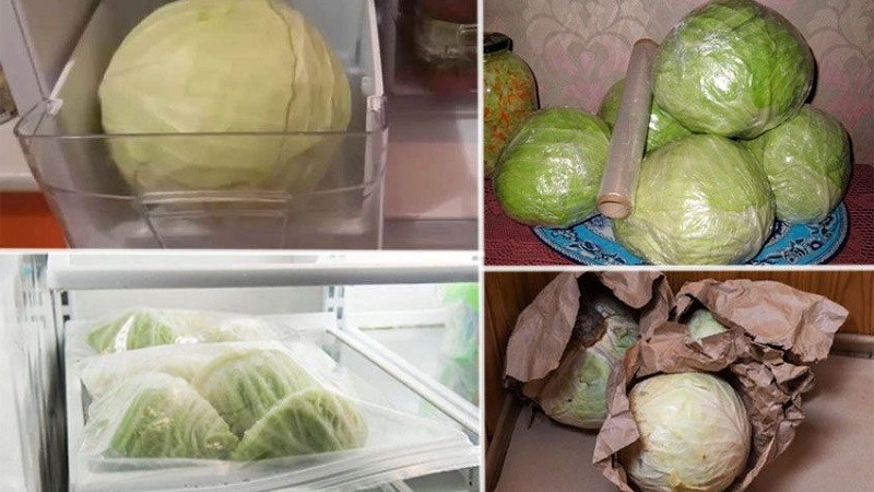 Proven ways to keep cabbage fresh for the winter