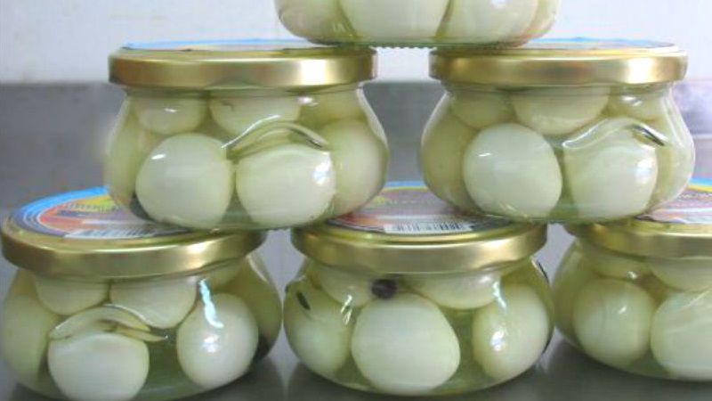 Onions for the winter in jars: how to salt properly