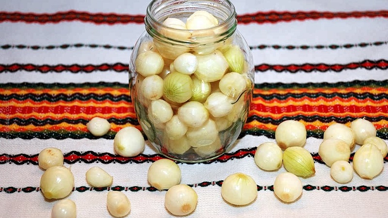 Onions for the winter in jars: how to salt properly