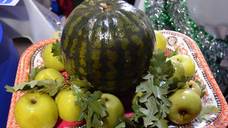 The classic recipe for watermelons soaked in a barrel at home and various options for additives