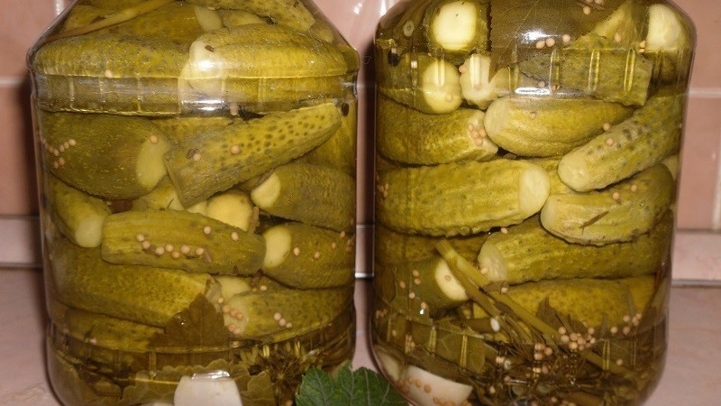Crispy cucumbers in jars for the winter: recipes for pickling with vinegar