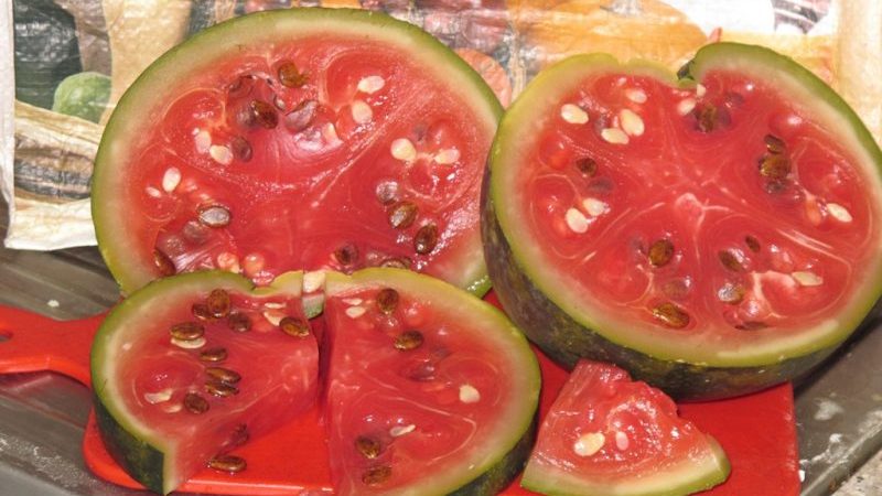 Delicious Soaked Watermelon Recipes: In a Pot, Jar and Barrel