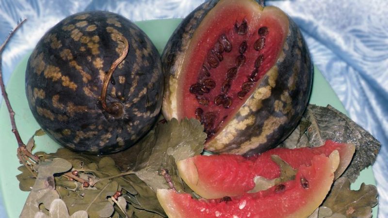 Delicious Soaked Watermelon Recipes: In a Pot, Jar and Barrel