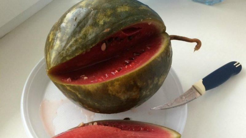 Delicious Soaked Watermelon Recipes: In a Pot, Jar and Barrel