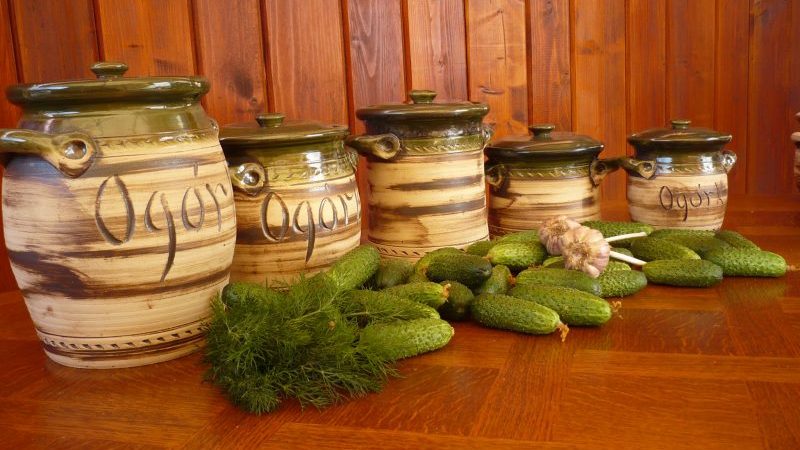 Secrets of preserving cut cucumbers for the winter: recipes without sterilization with garlic
