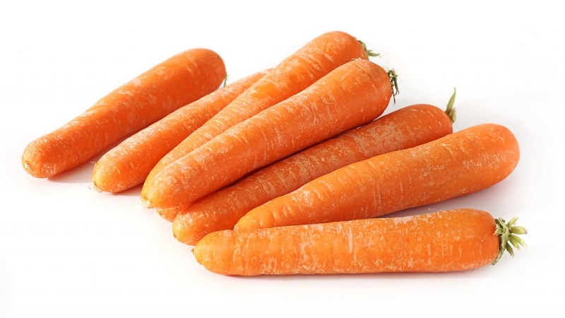 Sweet mid-season carrot of Nantes 4