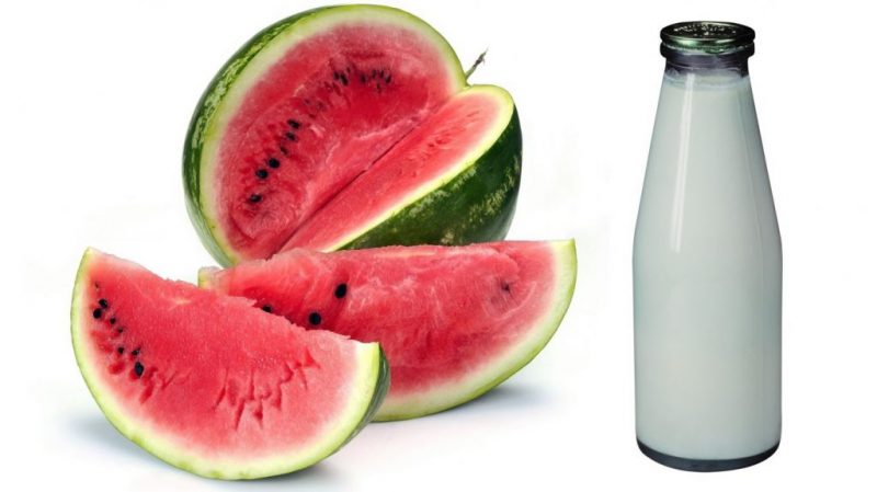 Watermelon compatibility with milk and other products