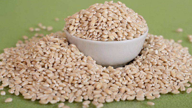 Comparative analysis of buckwheat and pearl barley: which cereal is healthier, which is more nutritious
