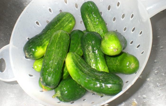 Simple and delicious ways to dry pickle cucumbers in a jar, bag and barrel