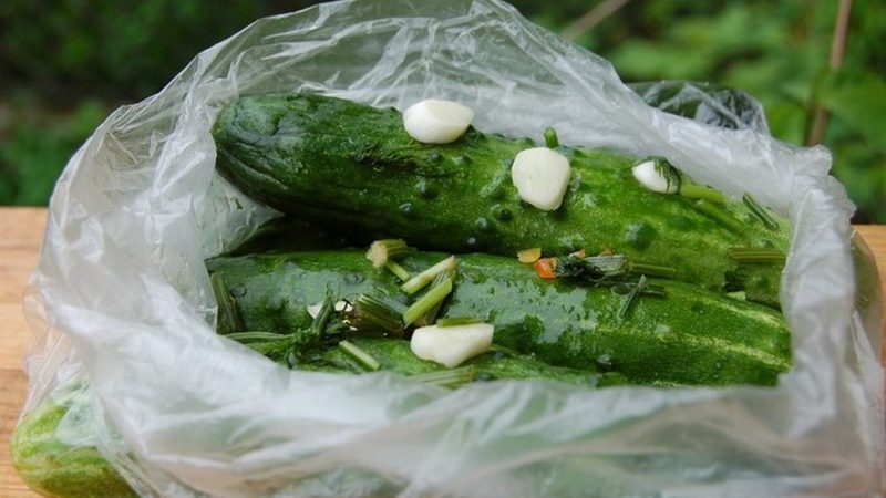 Simple and delicious ways to dry pickle cucumbers in a jar, bag and barrel