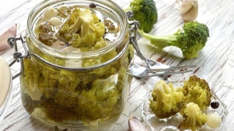 Delicious recipes for making pickled broccoli for the winter from experienced housewives