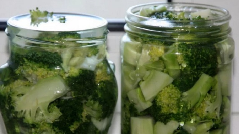 Delicious recipes for making pickled broccoli for the winter from experienced housewives