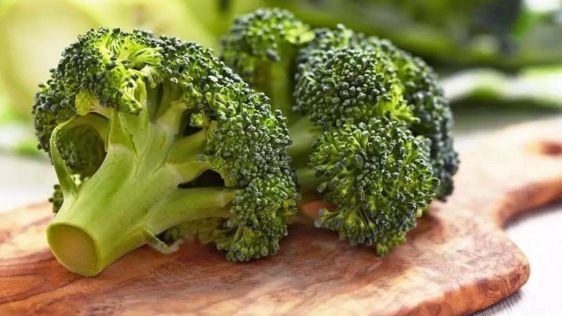 Delicious recipes for making pickled broccoli for the winter from experienced housewives