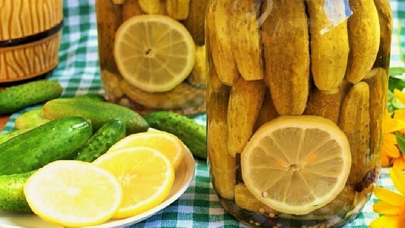 Recipes for delicious preparations of cucumbers with lemon for the winter in liter jars