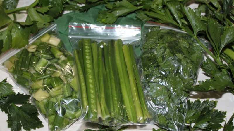 How to freeze celery for the winter and is it possible to preserve the beneficial properties