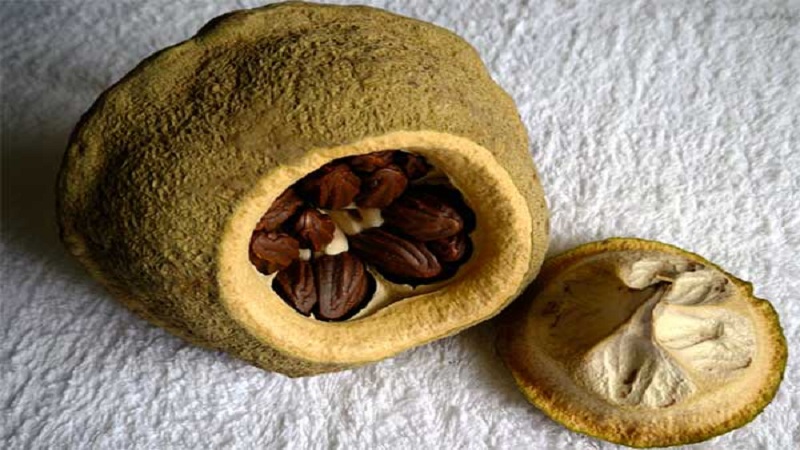 Benefits of Brazilian Nut for Women