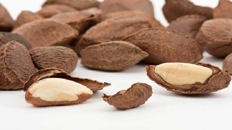 Benefits of Brazilian Nut for Women