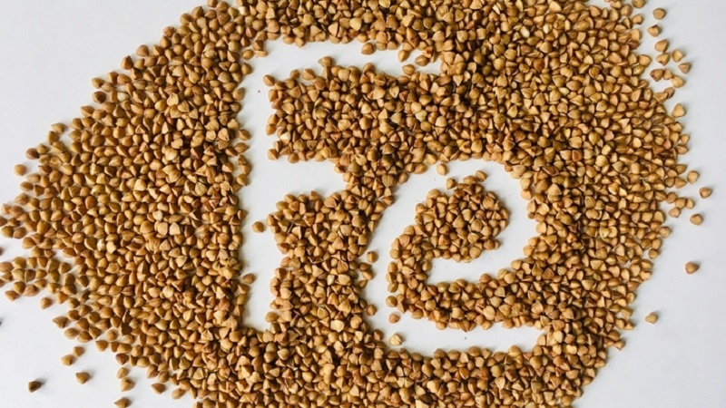 How many proteins, fats and carbohydrates are in buckwheat and what else is it rich in?