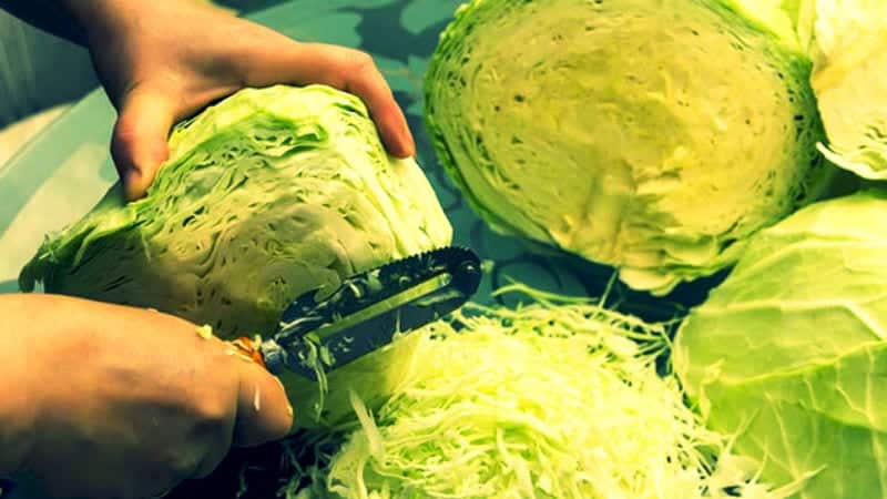 What happens if you eat cabbage every day
