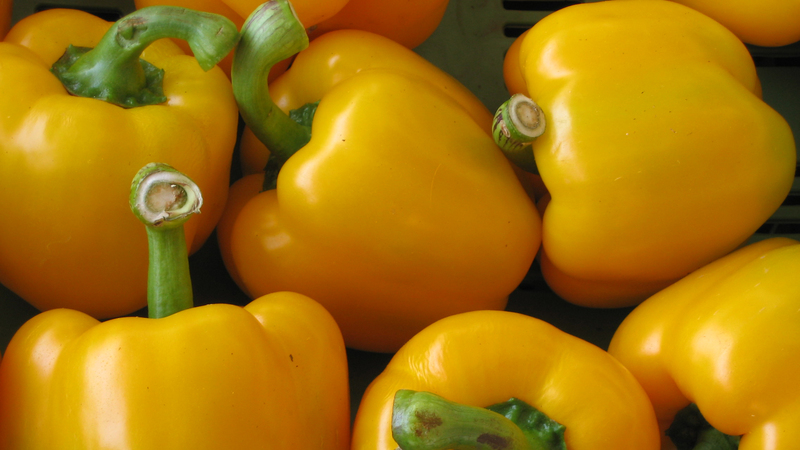 Characteristics and description of varieties of yellow pepper
