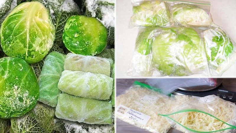 How to properly store cabbage in the freezer, refrigerator and without cooling devices