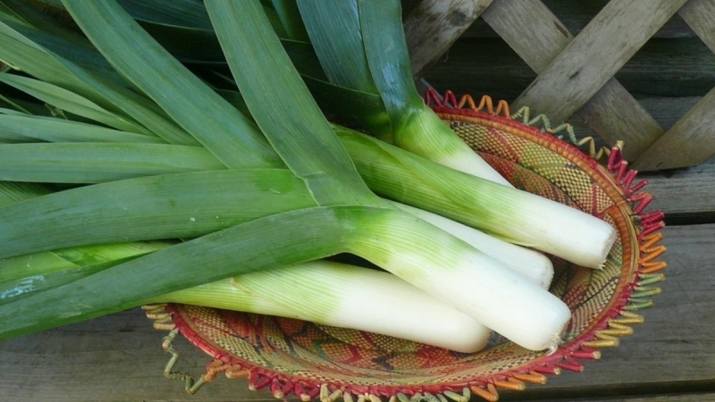 How to properly store leeks after harvest