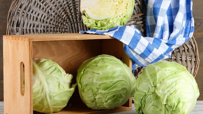 Proven ways to store early cabbage until spring