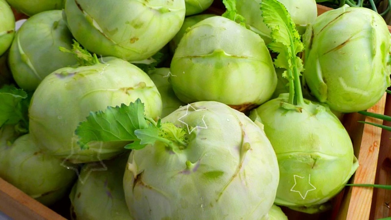What is the name of the cabbage that looks like turnip