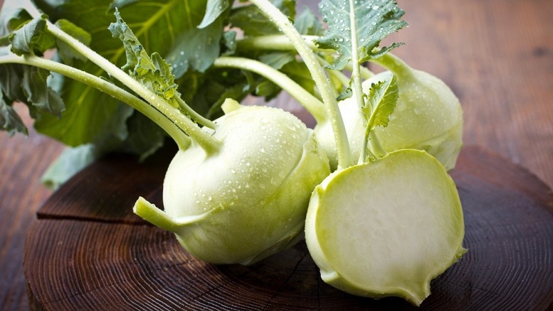 What is the name of the cabbage that looks like turnip