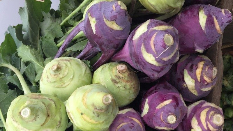 What is the name of the cabbage that looks like turnip