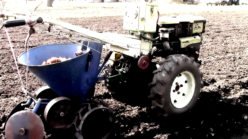 How to plant potatoes correctly, a description of the best ways to sow potatoes