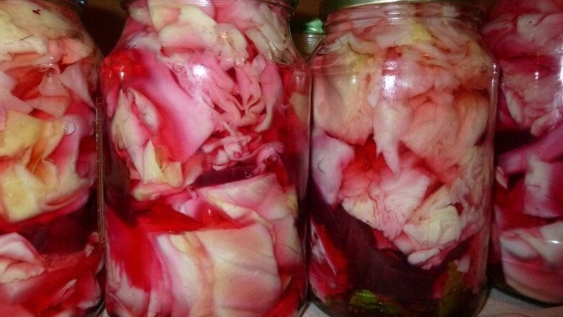 How to salt spicy cabbage for the winter: popular recipes and useful recommendations