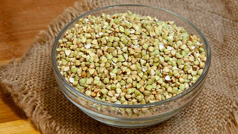 What kind of buckwheat is the largest - a detailed description